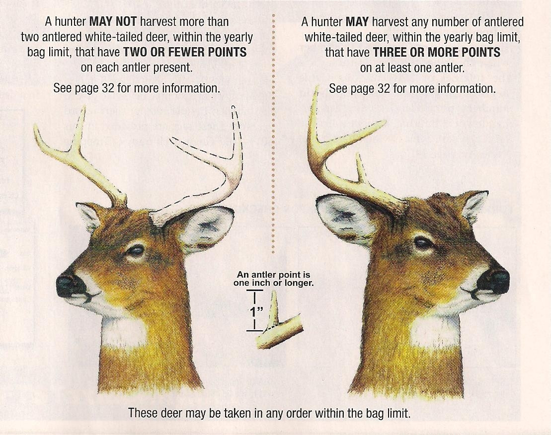 Pa. Deer Rut Dates Template Calendar Design