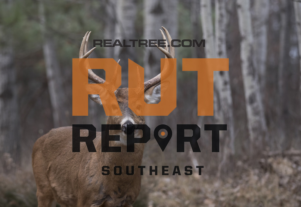Southeast Rut Report: The Rut Is On Fire In Alabama  Louisiana Rut Forecast