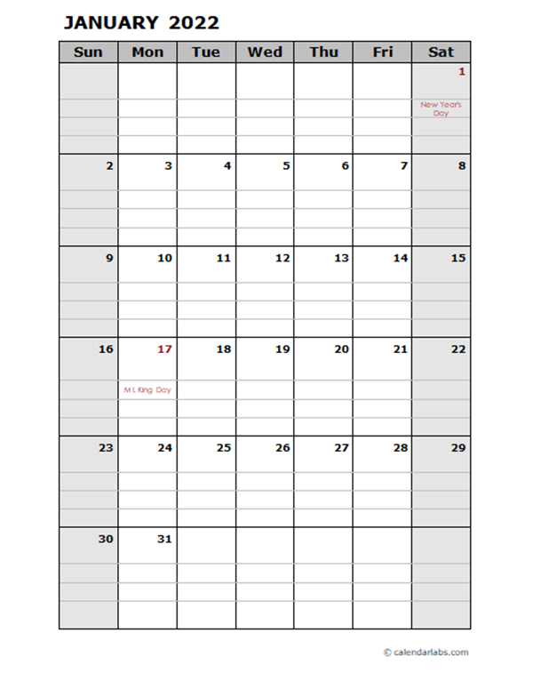 2022 Daily Planner Calendar Template - Free Printable  Printable Calendar 2022 Blank