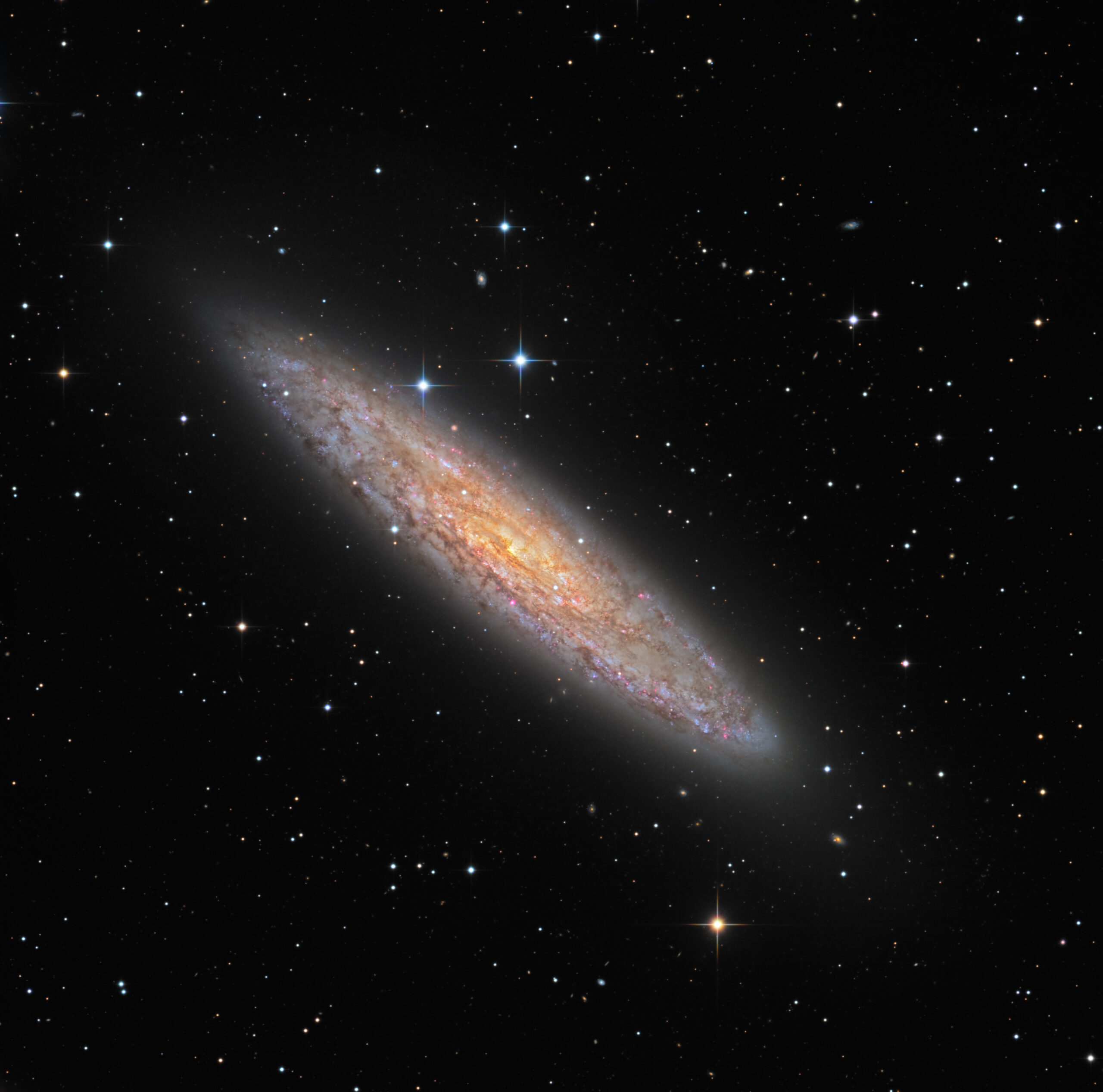 Apod: 2016 November 3 - Ngc 253: Dusty Island Universe  Astronomy Picture Of The Day Pictures