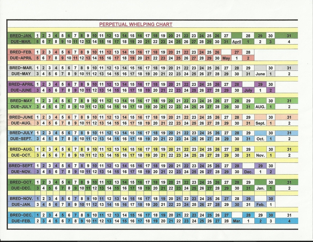 Canine Pregnancy Calendar  2022 Fcps Calendar