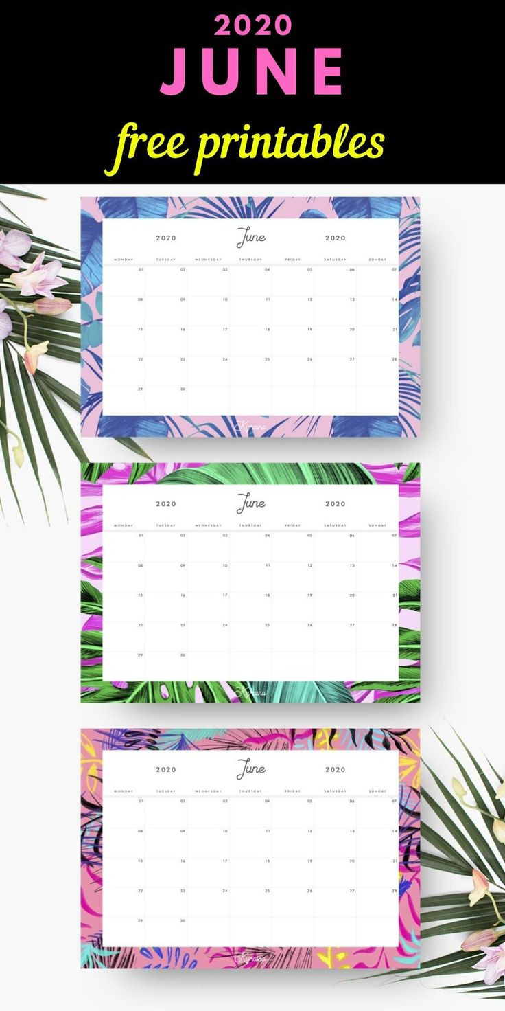 Free Tropical June 2020 Monthly Calendar Pack - 3 Styles  2022 Calendar Printable Girly