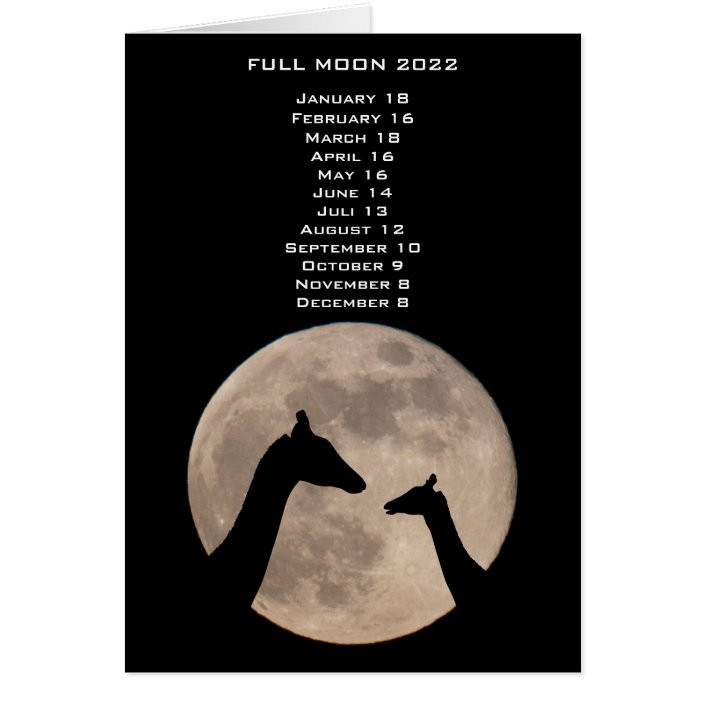 Full Moon Dates Giraffes Calendar 2022 | Zazzle  Moon Calendar 2022 Brisbane