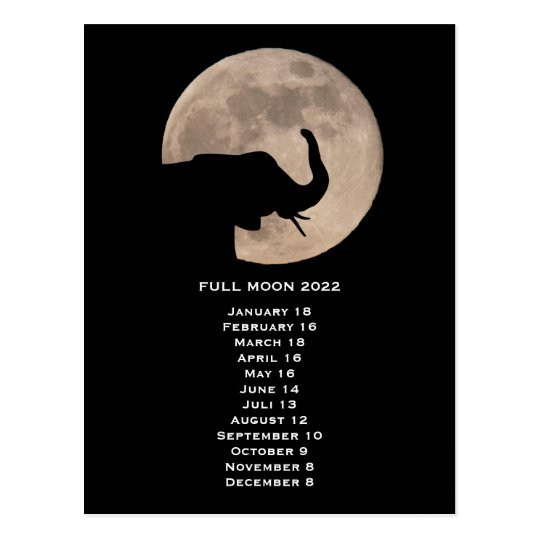 Full Moon Phases Elephant Calendar 2022 Postcard | Zazzle  Full Moon Calendar May 2022