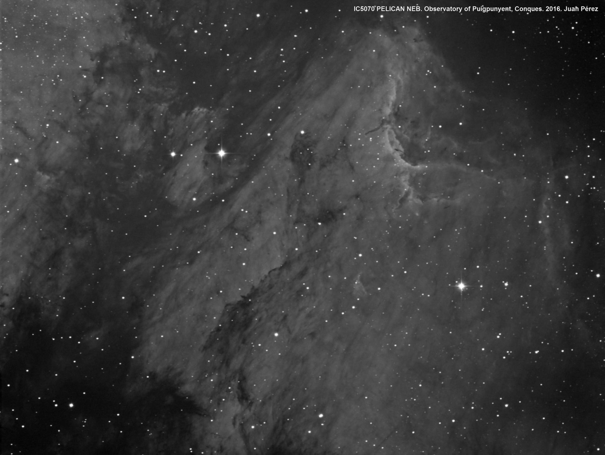 Ic5070. Nebulosa Del Pelícano - Astroso  Apod Nasa Gov 29 De Mayo 2022