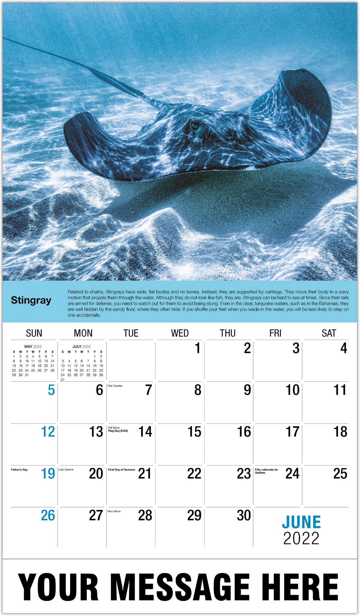 International Wildlife - 2022 Promotional Calendar  Light The World 2022 Calendar Zoo