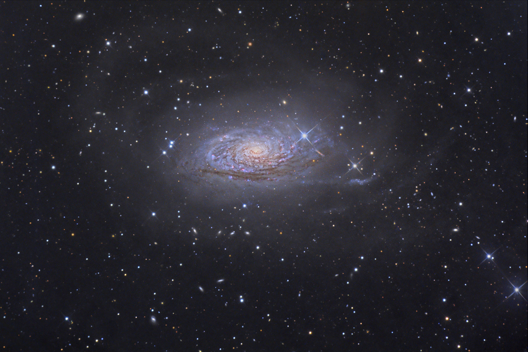Messier 63: The Sunflower Galaxy  Apod Nasa Gov 4 June 2022