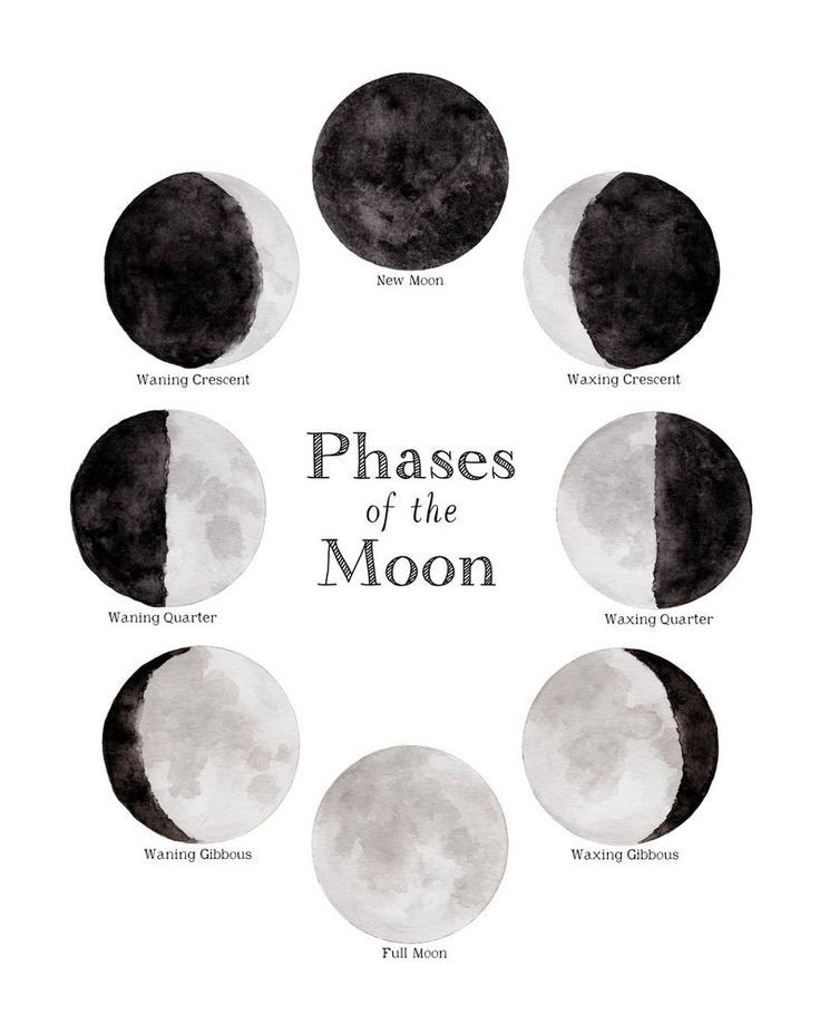 Pin𝕬𝖓𝖓𝖒𝖆𝖗𝖎𝖊 ☽ On M N In 2020 | Moon Print, Moon Phases  Full Moon Calendar 2022 Brisbane