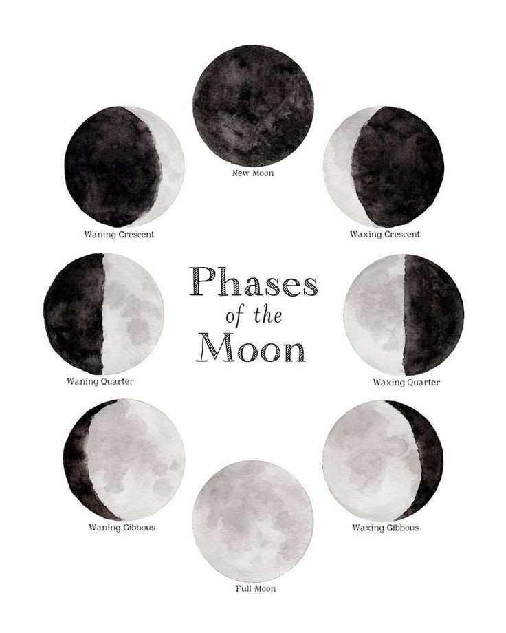 Pin???????? ☽ On M N In 2020 | Moon Print, Moon Phases  Full Moon Calendar 2022 Brisbane