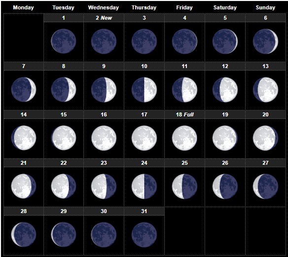 Printable March 2022 Calendar With Holidays In Pdf Word  Moon Lunar Calendar 2022